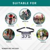 Adjustable Elastic Triathlon, Marathon, Running Sports Number Belt with Clip