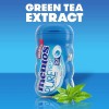 Mentos Pure Fresh Sugar-Free Chewing Gum with Xylitol,Fresh Mint,Pack of