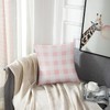 Emvency Set of 2 Throw Pillow Cover Cute Chic Pink