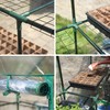 Miracle-Gro 4'8" x 4'8" x 6'5" All-Season Small Walk-in Greenhouse