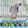 KATUMO Parrot Perch - Stainless Steel African Grey Perch Bird