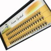 Scala 10 Root 60pcs Black Handmade False Eyelashes Natural Long