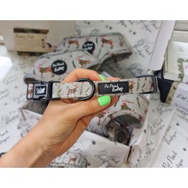 Greenwald The Stag Dog Collar XS