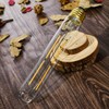 XININSUN Dimmable E26 Light Bulb 6W Equal 60 watt Edison