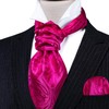 Barry.Wang Men Ascot Cravat Tie with Pocket Square Cufflinks Tie