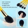 Eigshow Makeup Brushes Set, 10 Pieces Makeup Brushes, Premium Nano