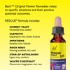 Rescue Remedy Night Kids Dropper (Raspberry), Soothing Support for Restful