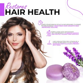 GREEN JOURNEY Shampoo Bars and Conditioner Set - Organic Ingredients, Sulfate & Paraben Free, Hair Growth Boosting, Travel Size, Eco-friendly Biodegradable Packaging, Lavender Scent