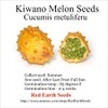 20 Kiwano Melon Seeds - Cucumis metuliferus (Organically Grown)