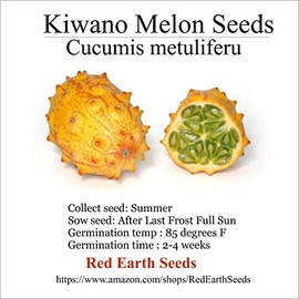 20 Kiwano Melon Seeds - Cucumis metuliferus (Organically Grown)