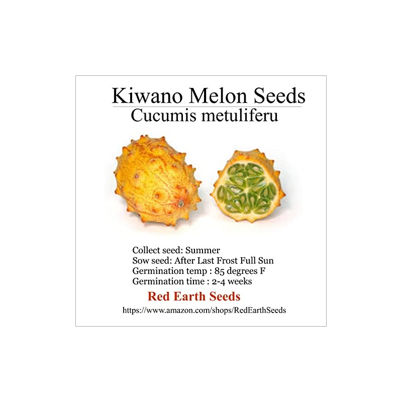 20 Kiwano Melon Seeds - Cucumis metuliferus (Organically Grown)