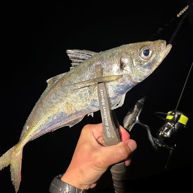 VARIVAS Ajing Master Ester Lemon, 49.2 ft (150 m), No.