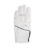 PUMA Golf Gloves, Golf Super Leather Touch Gloves (Left Hand),