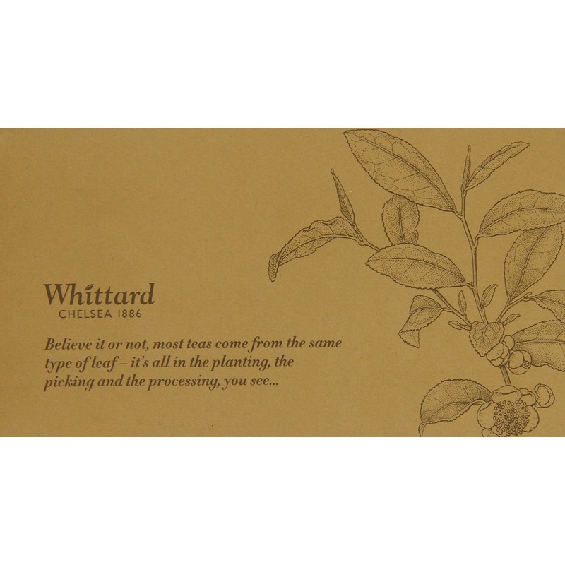 Whittard of Chelsea English Rose Tag and Envelope (Pack of