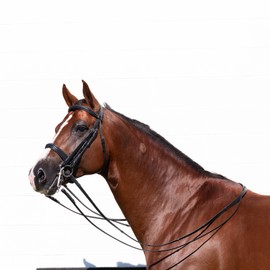 Equinavia Saga Double Bridle w/Reins - Black - Warmblood