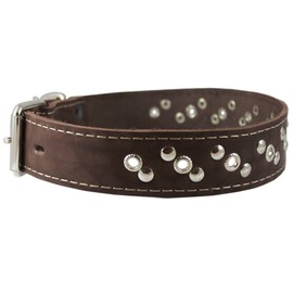 Genuine Leather Studded Dog Collar 22"x1" Brown Fits 15"-19.5" Neck