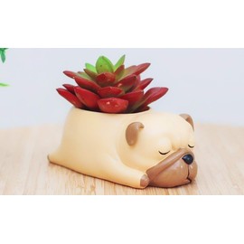 Clound city Cute Pug Planter Pots for Office,Window,Kitchen and Balcony