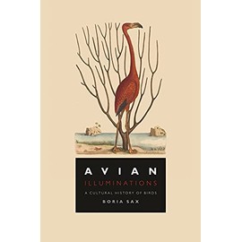 Avian Illuminations: A Cultural History of Birds