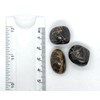 Stromatolite Small Crystal Tumbled Stones - 3 Pc