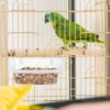 2 comederos de plástico para Loros, Transparentes para Colgar, para