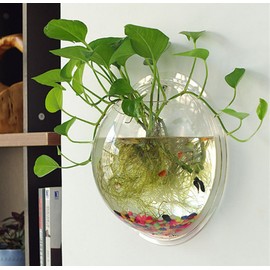 Sweetsea Hanging Wall Mounted 1 Gallon Fish Tank Bowl Aquarium Wall Decor Plant Fish Bubble - Clear (Large)