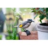 WILDLIFEGARDEN Wildlife Garden WG4806 DecoBird White-Eye Honey Eater - Hand