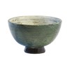 Tori W909-05 "Shigaraki Waki" Matsuba Rice Bowl