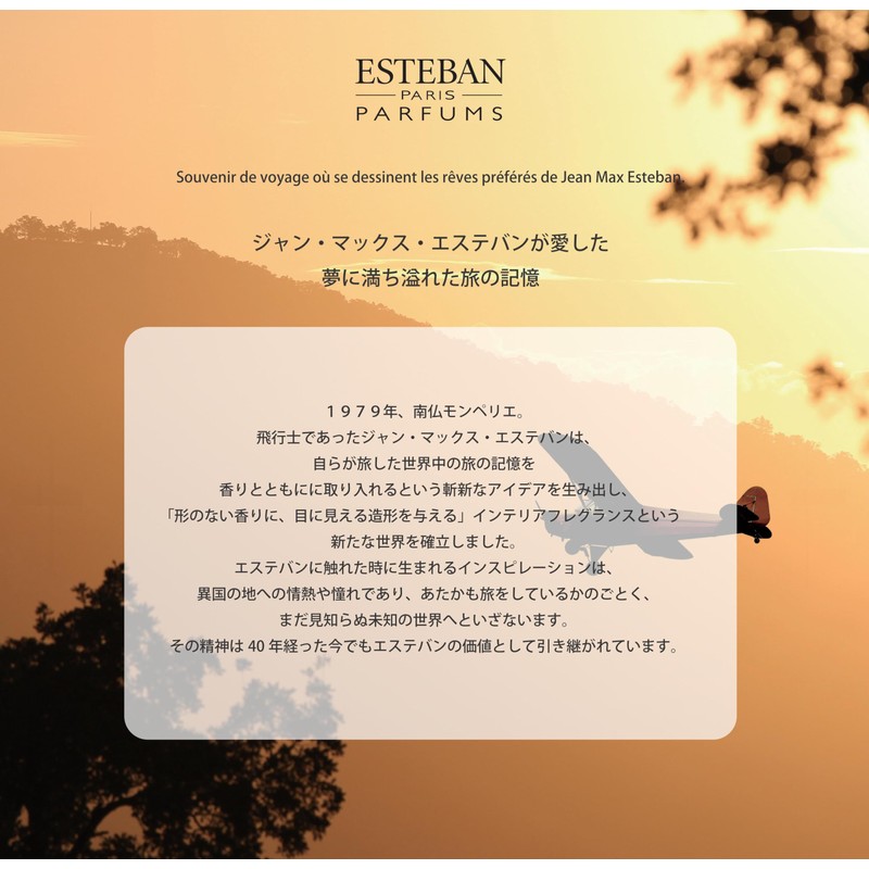 エステバン(ESTEBAN) エスプリ ド テ スティック 40本入