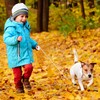 Retractable Dog Leash for Small Dogs Cats up to 11lbs
