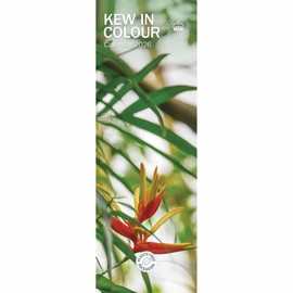 Carousel Worldwide, Royal Botanic Gardens 2026 Slim Wall Calendar