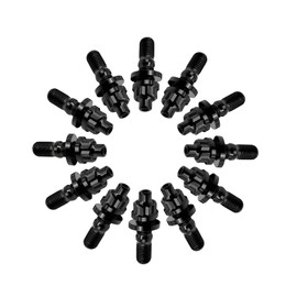 RISON-Titanium Set of 12 Titanium Stud Bolts for Exhaust Manifold M8 M10, Exhaust Manifold Bolt Nut Kit, Exhaust Manifold Flange Nuts Pin Screws Exhaust Manifold for Exhaust Systems Car Engines