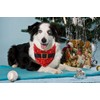 Christmas Dog Bandana 2 Pack - Triangle Bibs Pet Scarf