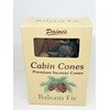 Pinyon Pine #25 Incense Log Cabin Cones Paine's Maine USA