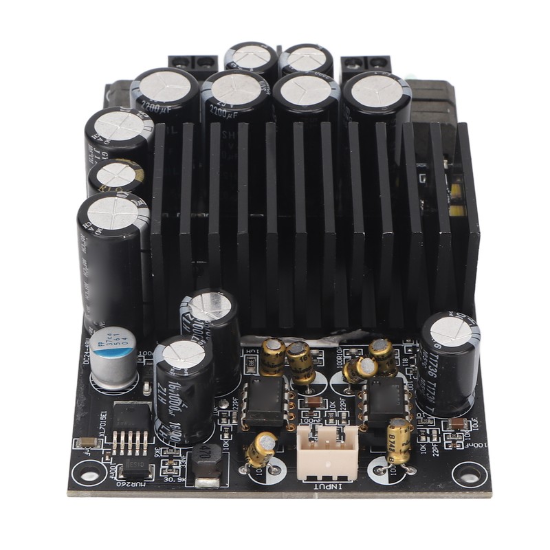 HIFI Digital Power Amplifier Board Professional 2.0 Channel Class D