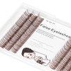 Bodermincer 231 Clusters D Curl Dark Brown/Black Individual Eyelash Extension