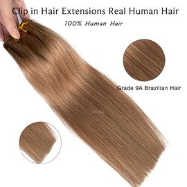 Clip in Hair Extensions, Golden Brown Hair Extensions Real Human Hair Clip ins 12 Inch Double Weft Clip in Hair Extensions Real Human Hair Clip in Extensions 70G 7 Pieces Clip on for Women