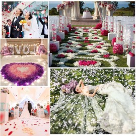 CATTREE Rose Petals, Fake Rose Petal White & Wine Red for Valentines Decorations Suitable Weddings Valentine's Day Anniversaries Birthdays Parties Romantic Decor Special Night 2000 PCS