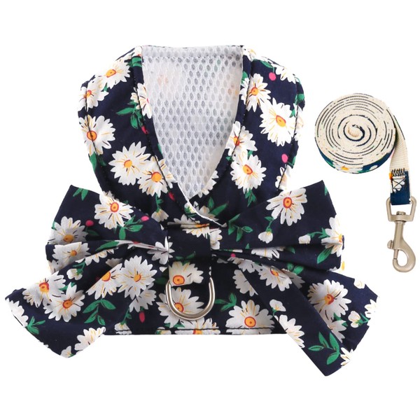 BAEJMJK Dog Harness and Leash Set with Bow Knot No