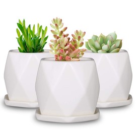 SQOWL 4in Ceramic Geometric Succulent Planter Pots with Removable Saucer,Indoor Plant Pots Set of 3