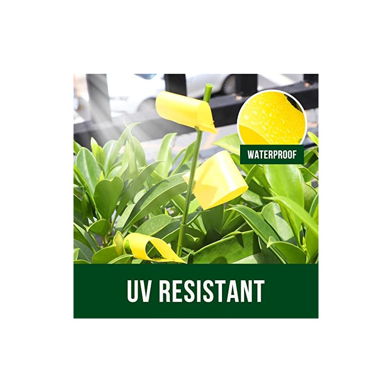 Garsum 21 Sticky Traps for Indoor Plants - Catch Gnat