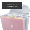 Advantus Expandable Paper Organizer, Accordion File Organizer, Important Document Holder,