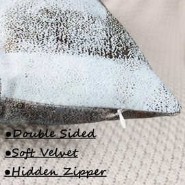 OYIMUA Set of 2 Decorative Cushion Covers 40 x 40 cm Abstract Art Decor Pillow Case Velvet Brown Grey Cushion Cover 16x16 inches for Outdoor Patio Garden Blench Living Room Sofa Farmhouse Decor