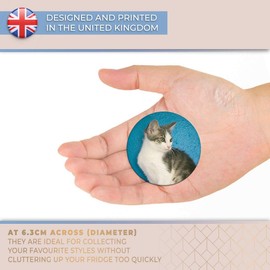 Destination Vinyl ltd Magnet for Refrigerator, Fridge - Tabby Cat Cute Kitten Pet for Office, Cabinet and Whiteboard, Magnetic Stickers, 15991