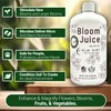 Elm Dirt's Bloom Juice for All Flowering Plants (1 Bottle)