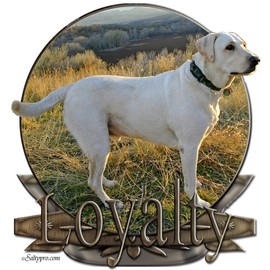 CafePress White Lab Loyalty Throw Blanket Super Soft Fleece Plush Throw Blanket, 60"x50"