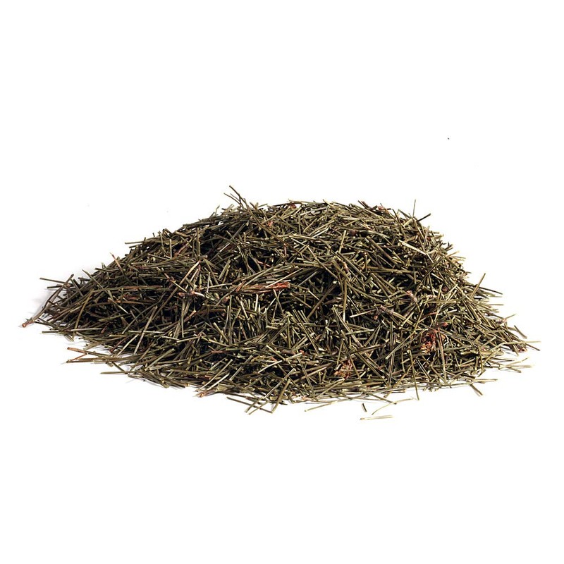 EidolonGreen [China Medicinal Herb] Pine Needle Tea - Dried Bulk
