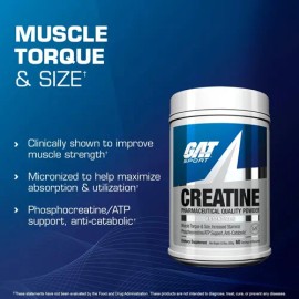 Creatina Monohidratada Gat Sport 100 Pura 300g 60 Porciones                                                                                           