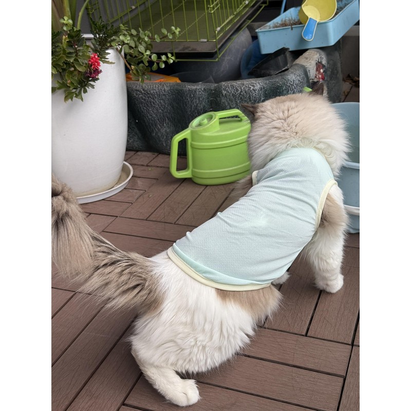 2Pcs Cooling Shirts for Small Dogs, Sleeveless Dog Vest, Lightweight