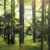 Infrared Hunting Cameras Wildlife Camera Waterproof Outdoor Night Vision Camera