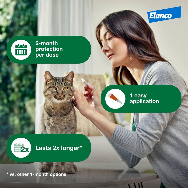 Advantage XD Large Cat Flea Prevention & Treatment For Cats